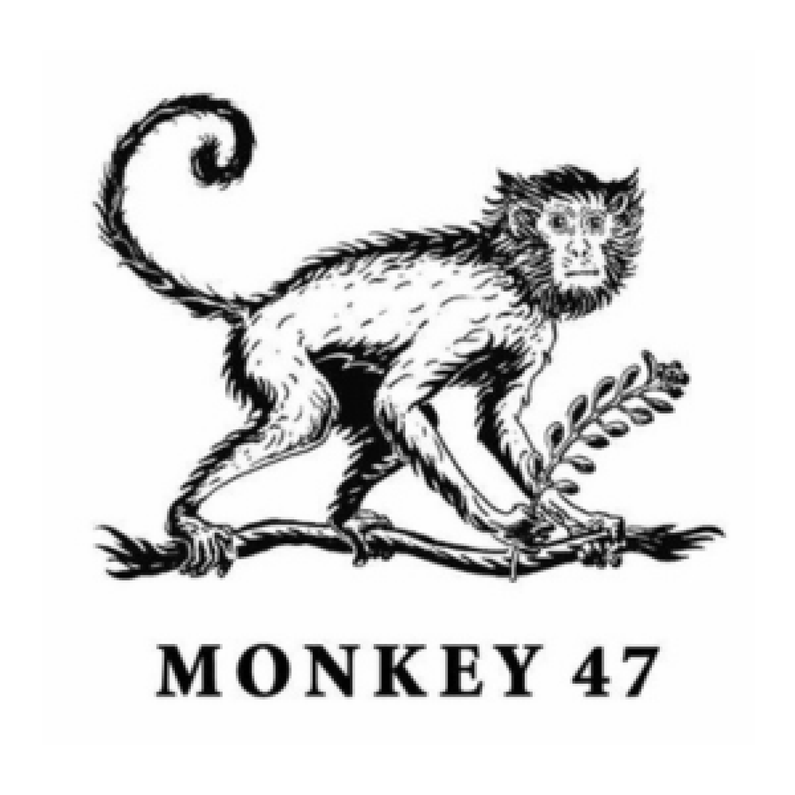 monkey_300.png