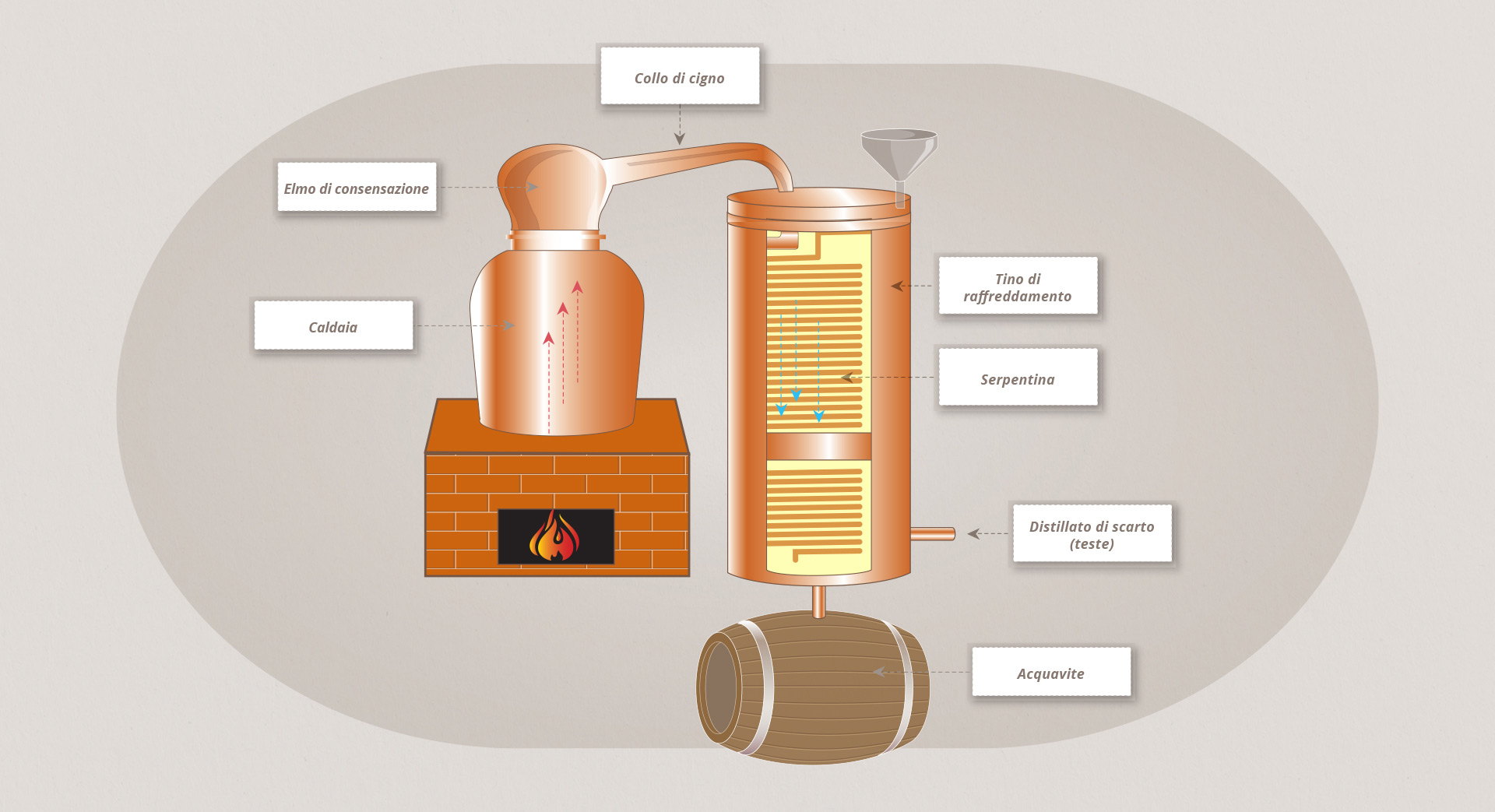 Ingrosso Liquori Spirits Partesa